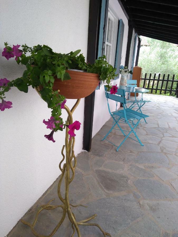 Sea & Sun House Villa Nea Kallikrateia ภายนอก รูปภาพ